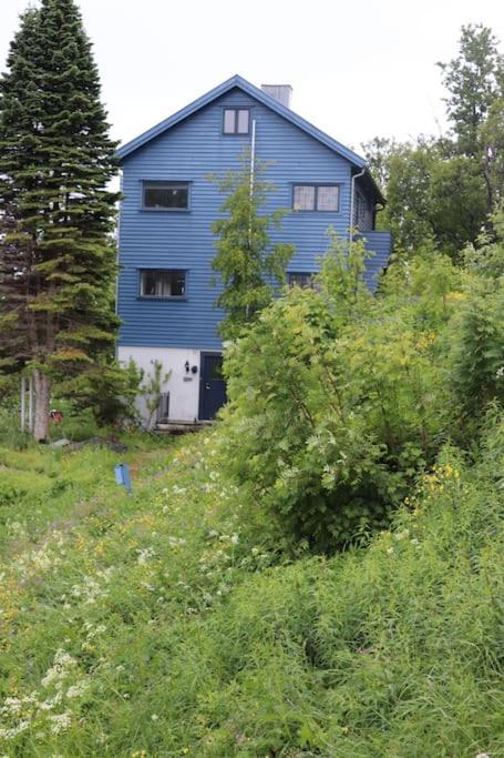 Вилла Cozy Family House Тромсё Экстерьер фото